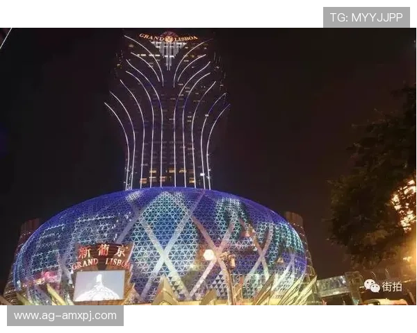 澳门新葡京网娱乐app多样化游戏选择，满足不同玩家的娱乐需求