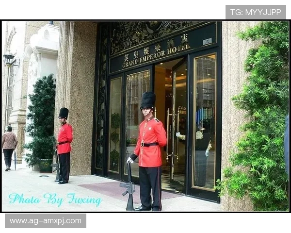 威尼斯葡京网站注册流程与新手攻略全方位指导