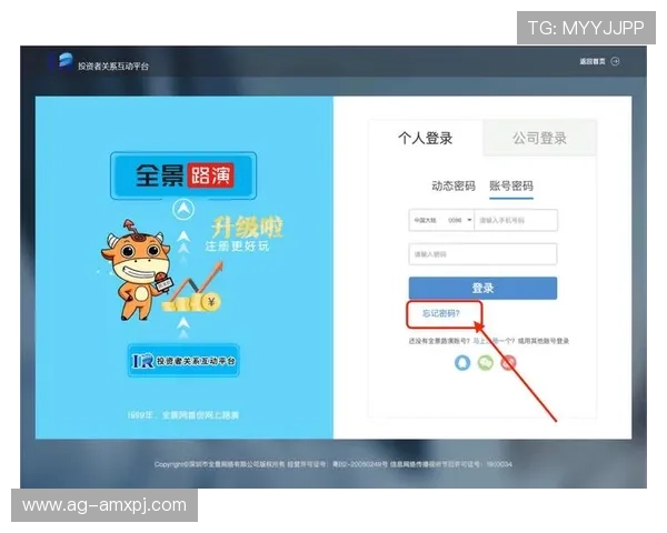 新普京网页版登录网址2024最新官方入口，便捷快速的登录体验指南