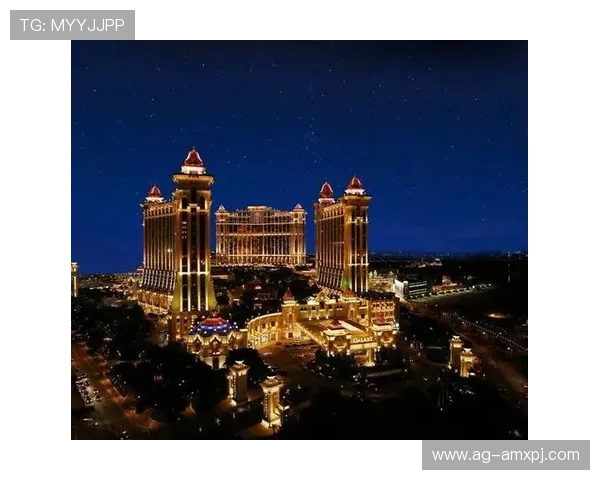 澳门新葡京娱乐官网入口安全可靠，畅享精彩博彩体验的最佳通道